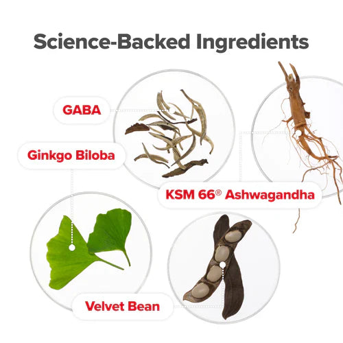 VAGINAL PROBIOTIC GUMMIES